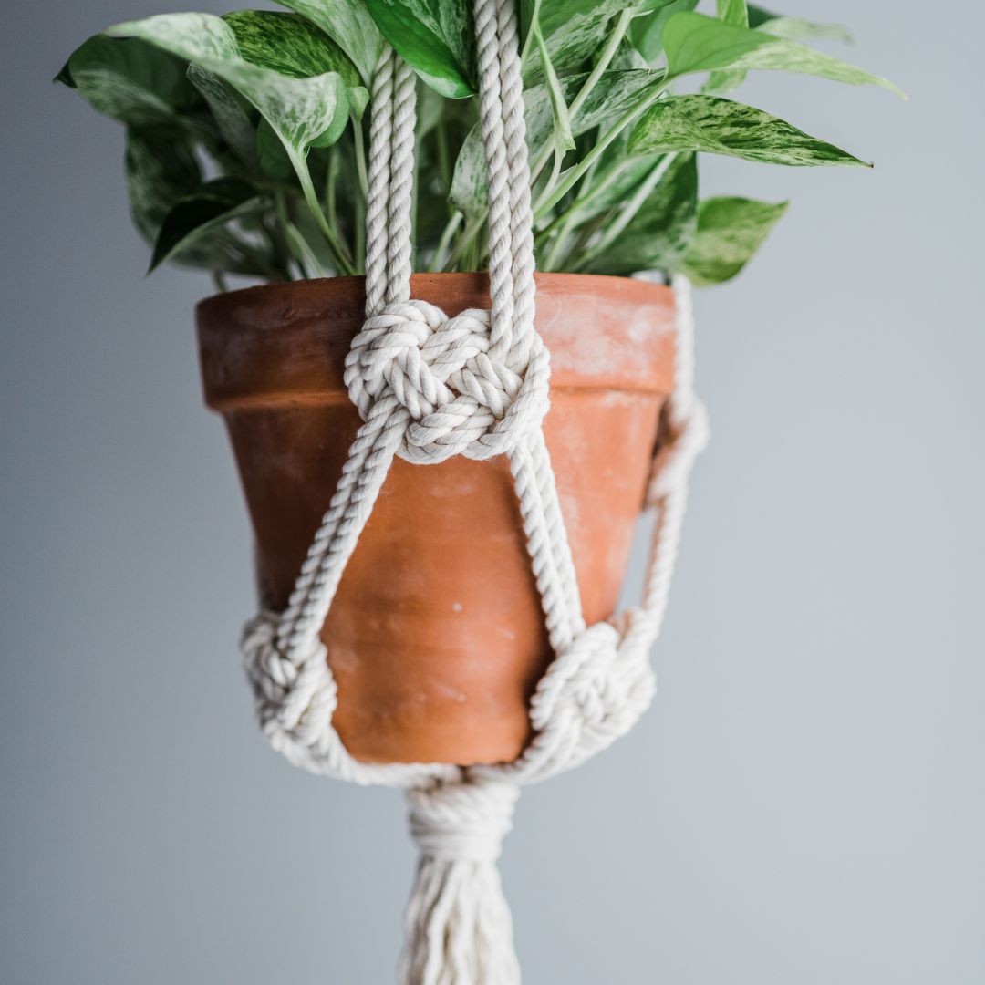 Macrame plant hanger